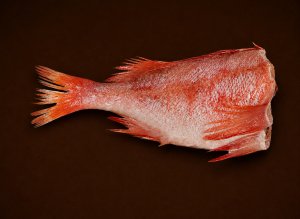 6x RedFish/PoissonRouge
